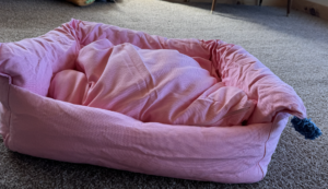 Pink Pom Pom Boom Dog Bed